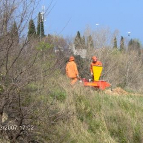 foto volontari Muggia 7 / 10298