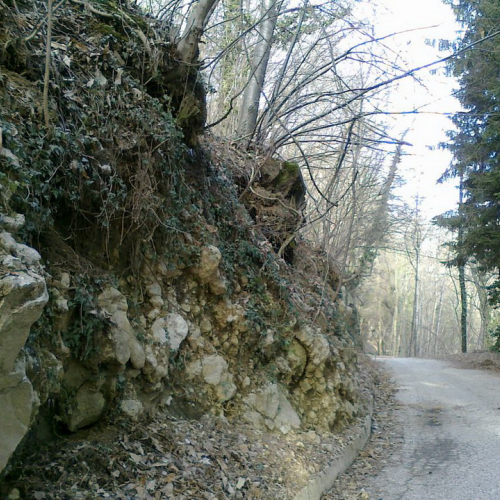 Dissesti OPI CD6/705.031 n. 5 / 74617