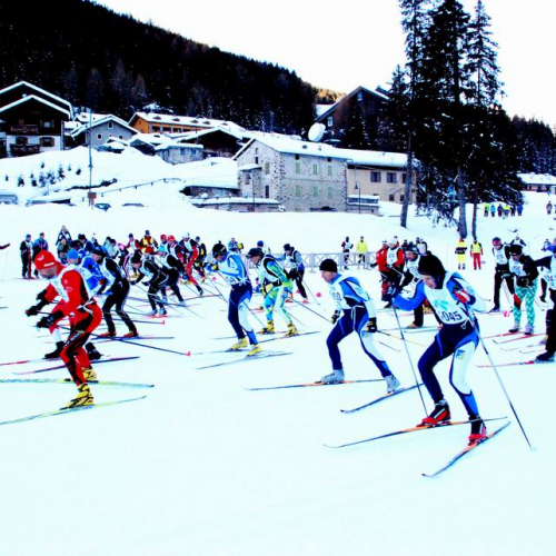 Gara Sci di Fondo e Snowboard n. 5 / 47571