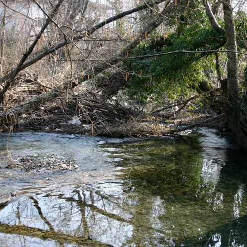 Intervento Ledra 5 / 50036