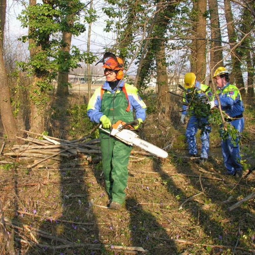 Intervento Ledra 7 / 50038