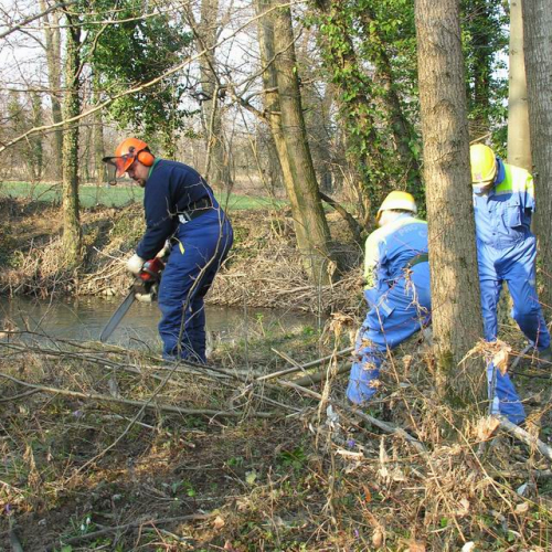 Intervento Ledra 8 / 50039