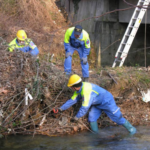 Intervento Ledra 12 / 50043