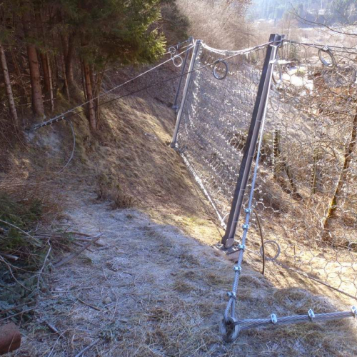 Intervento OPI 718.000 (04.02.2011) n. 10 / 60539