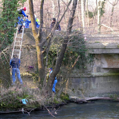Intervento Ledra 16 / 50047
