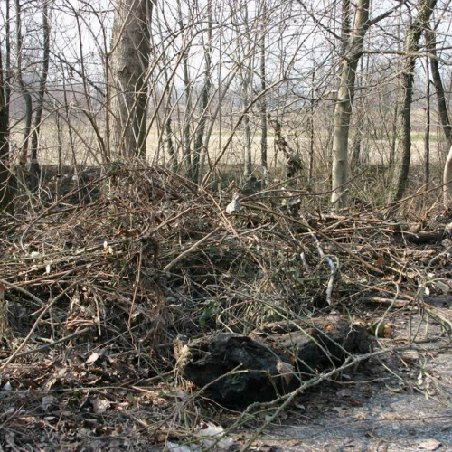 Intervento Ledra 27 / 50058