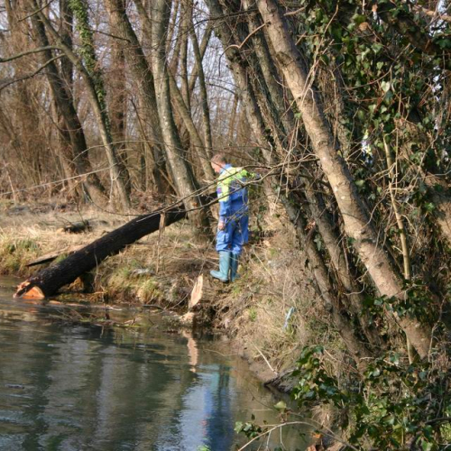 Intervento Ledra 29 / 50060