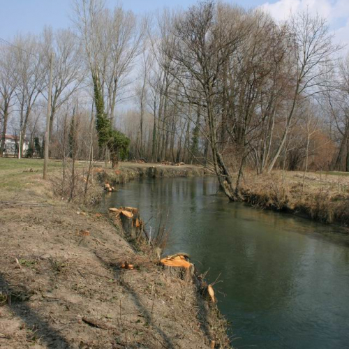 Intervento Ledra 32 / 50063