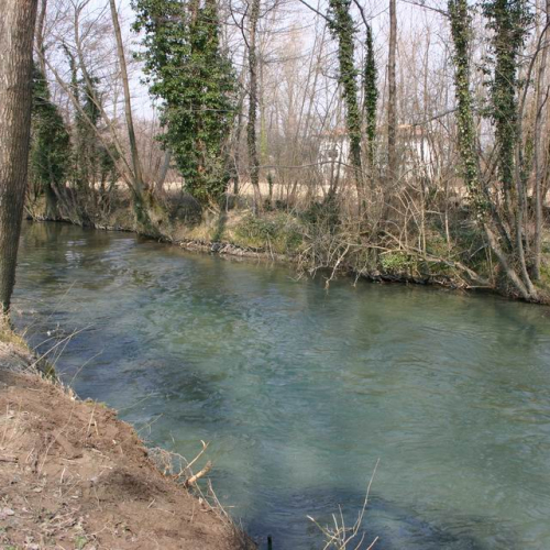 Intervento Ledra 34 / 50065