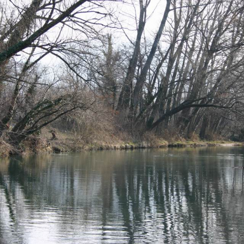 Intervento Ledra 35 / 50066