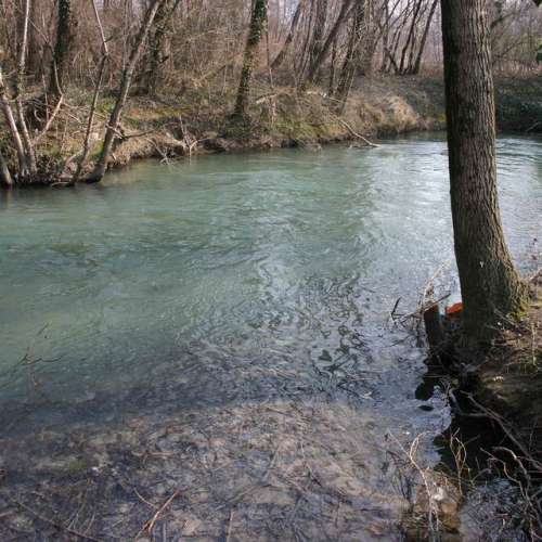 Intervento Ledra 36 / 50067