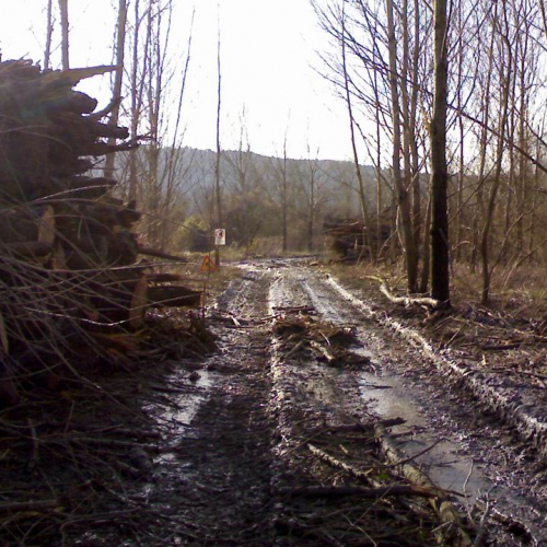 Intervento fiume Isonzo OPI CD7/702 (febbraio 2011) n. 2 / 61070