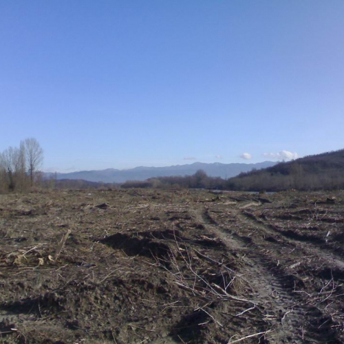 Intervento fiume Isonzo OPI CD7/702 (febbraio 2011) n. 5 / 61073