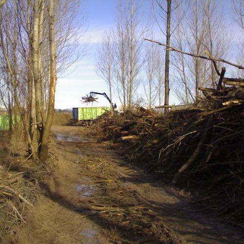 Intervento fiume Isonzo OPI CD7/702 (febbraio 2011) n. 9 / 61077