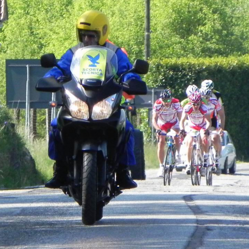 Corsa per Haiti 2011 n. 18 / 65093