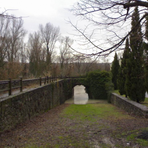 Intrevento volontari (Gradisca d'Isonzo) 11 / 46903