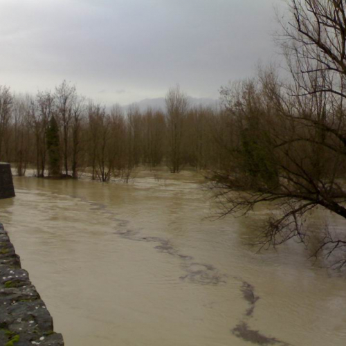 Intrevento volontari (Gradisca d'Isonzo) 12 / 46904
