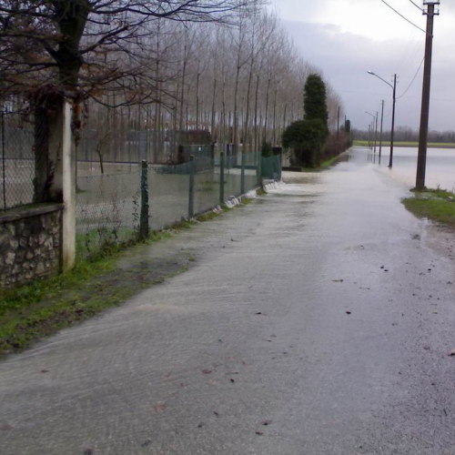 Intrevento volontari (Gradisca d'Isonzo) 21 / 46913