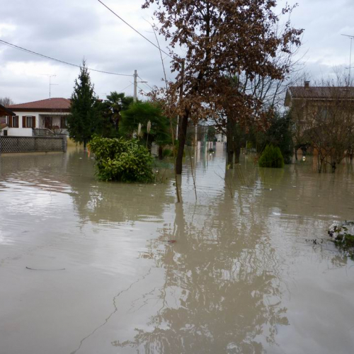 Intrevento volontari (Gradisca d'Isonzo) 22 / 46914