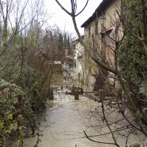 Intrevento volontari (Gradisca d'Isonzo) 27 / 46919
