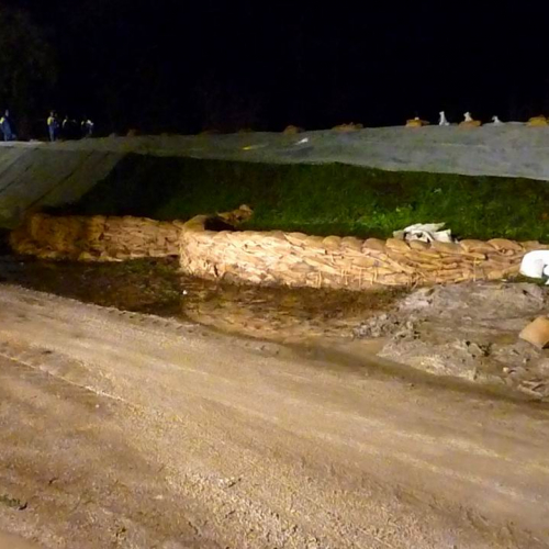 Intrevento volontari (Gradisca d'Isonzo) 74 / 46966