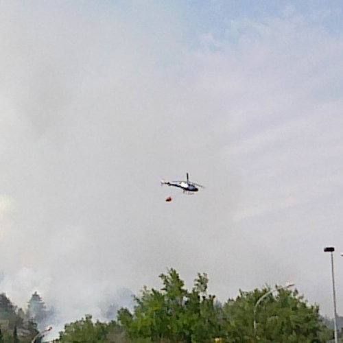 Incendio loc. Lisert n. 6 / 66375