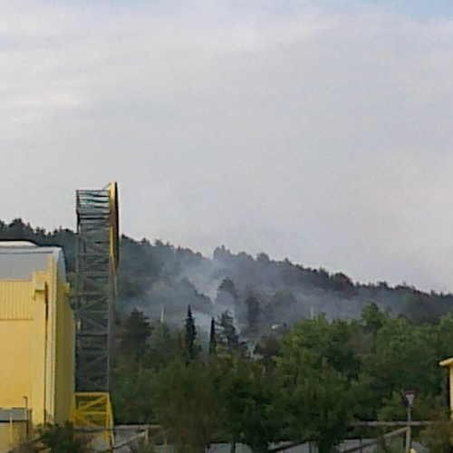 Incendio loc. Lisert n. 9 / 66378