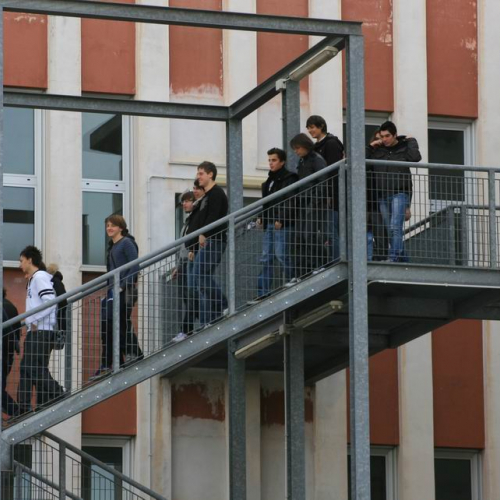 VIII Giornata Nazionale della Sicurezza nelle Scuole n. 7 / 58838