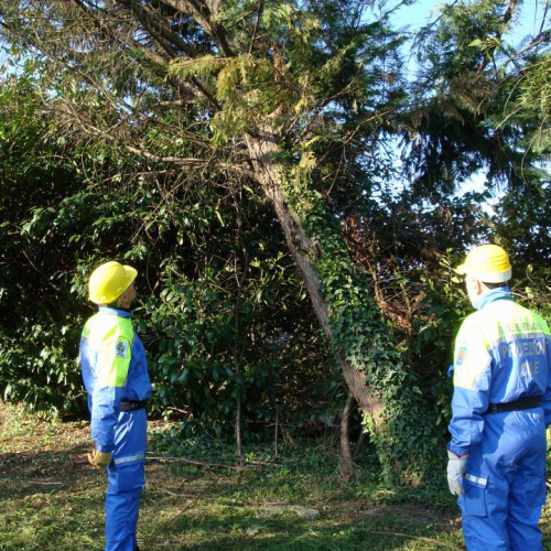 Cerchio 2011 n. 16 / 64229