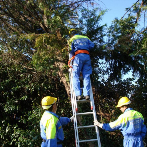 Cerchio 2011 n. 18 / 64231