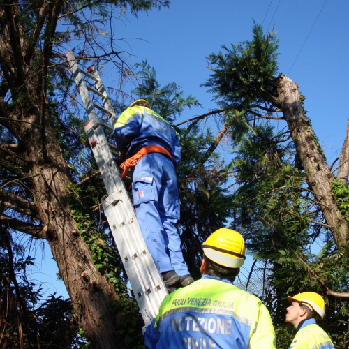 Cerchio 2011 n. 20 / 64233