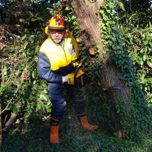 Cerchio 2011 n. 21 / 64234