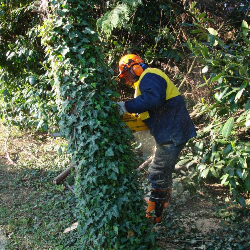 Cerchio 2011 n. 22 / 64235