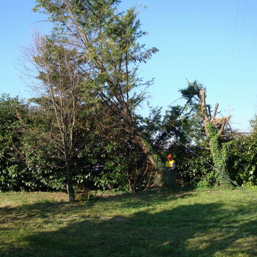 Cerchio 2011 n. 23 / 64236