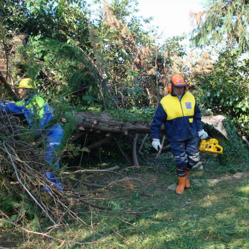 Cerchio 2011 n. 24 / 64237