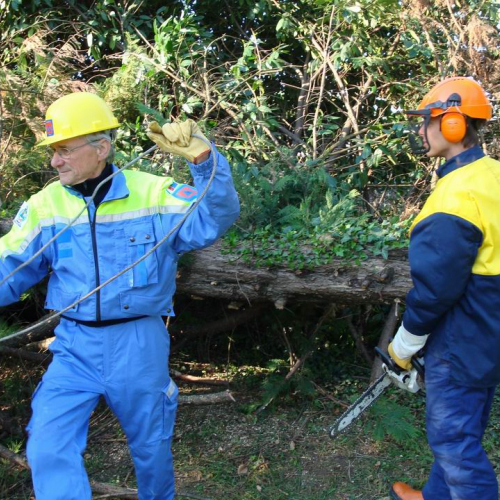 Cerchio 2011 n. 25 / 64238