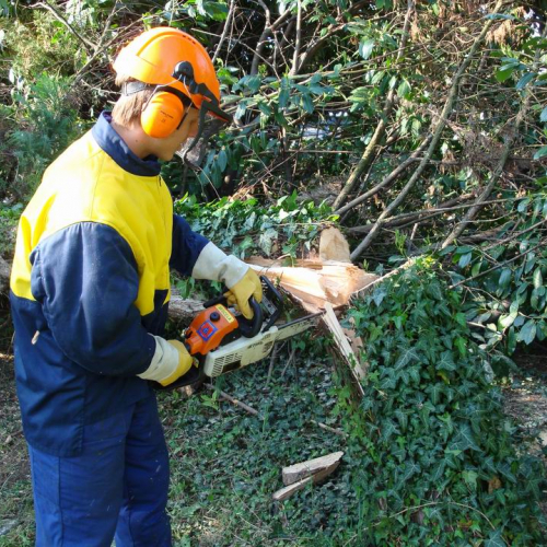 Cerchio 2011 n. 26 / 64239