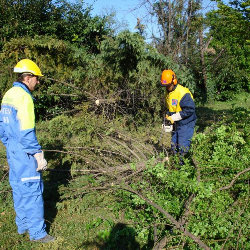 Cerchio 2011 n. 27 / 64240