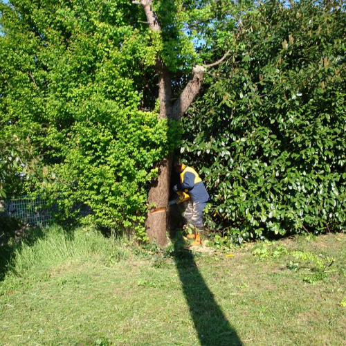 Cerchio 2011 n. 28 / 64241