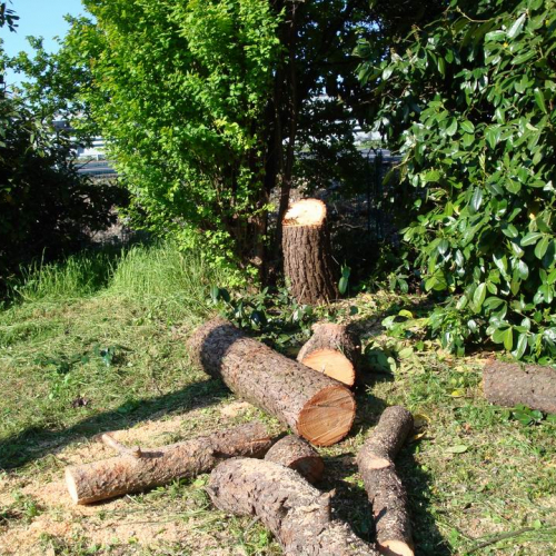 Cerchio 2011 n. 29 / 64242