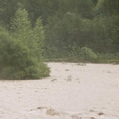 Val Canale 15/08 n. 5 / 28908