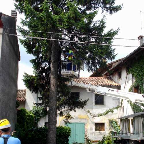 CO.ME.CO. 2009 n. 6 / 40544
