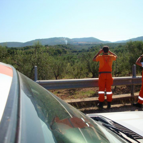 8∞ Turno Puglia 2011 n. 4 / 69715