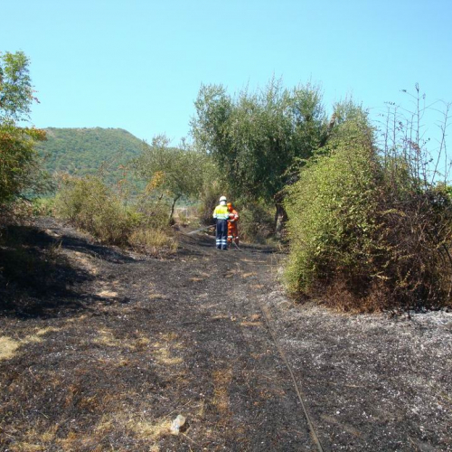 8∞ Turno Puglia 2011 n. 6 / 69717
