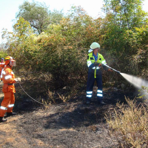 8∞ Turno Puglia 2011 n. 7 / 69718