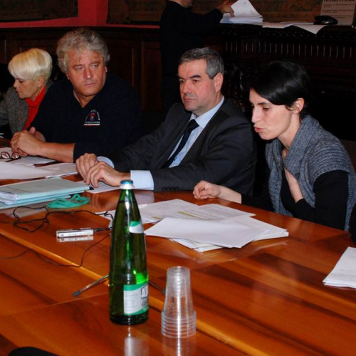 Commissione Speciale (15 marzo 2011) n. 2 / 62327