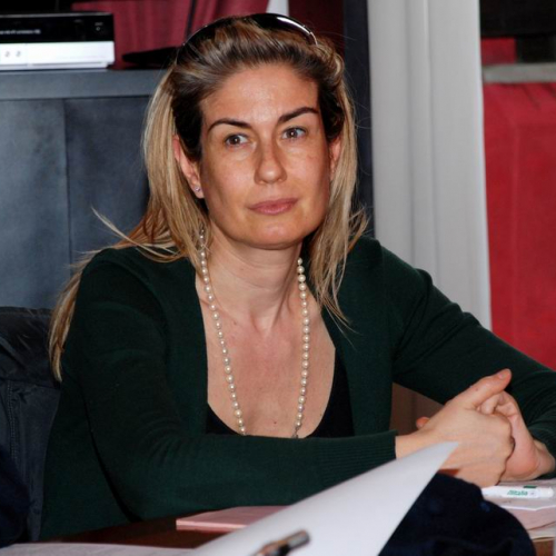 Commissione Speciale (15 marzo 2011) n. 6 / 62331