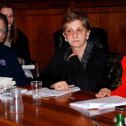 Commissione Speciale (15 marzo 2011) n. 7 / 62332