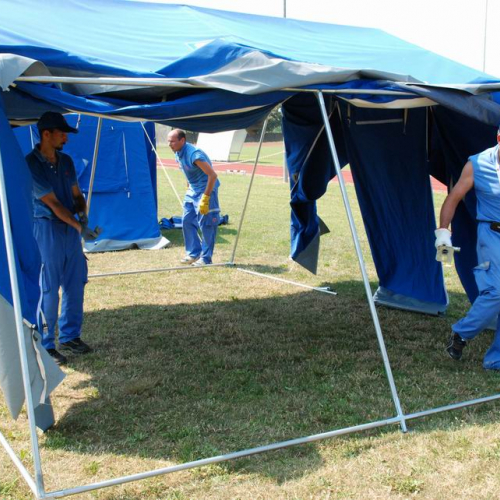 MERETO 2010 n. 7 / 54044