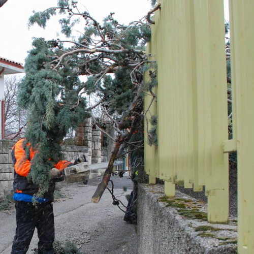 Interventi volontari (02/03/11) n. 7 / 61450